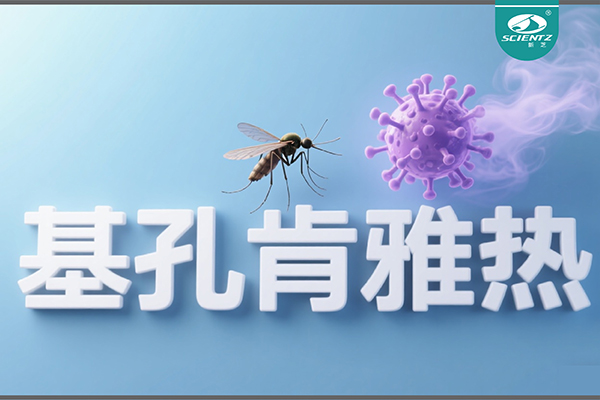 基孔肯雅熱疫情升級！新芝生物硬核技術(shù)助力病毒精準(zhǔn)診斷