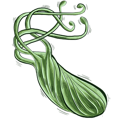 幽門(mén)螺桿菌 微信圖片_20241126102150